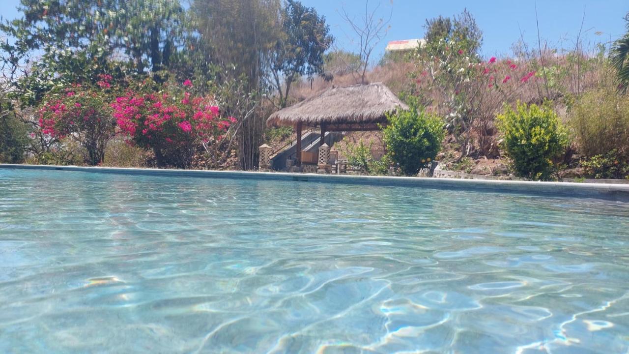 Lombok Villas, Kurakura