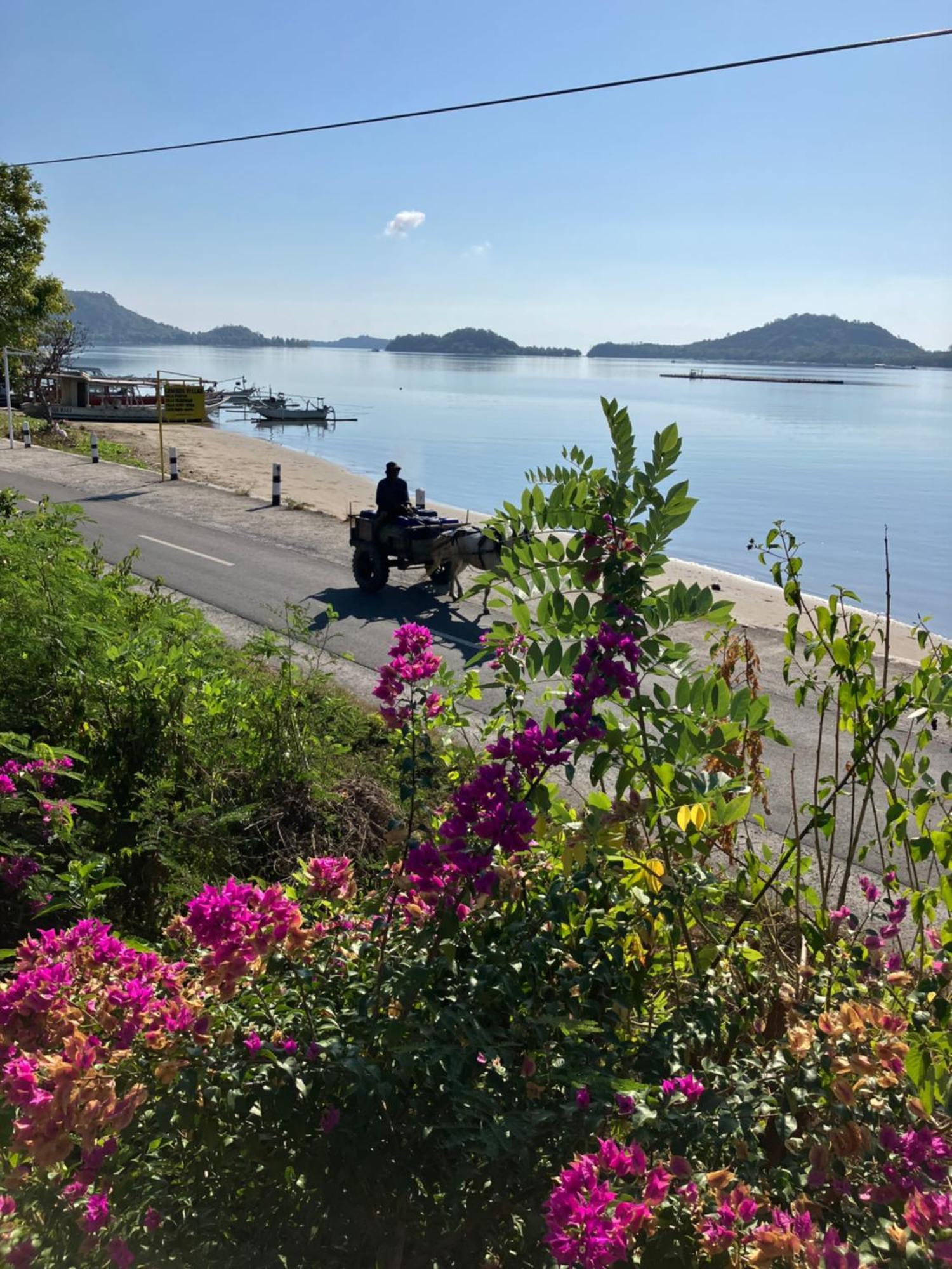 Lombok Villas, Kurakura Hébergement de vacances
